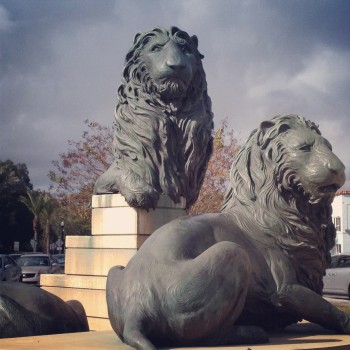The Lions of San Marco Square- shopping and dining district 