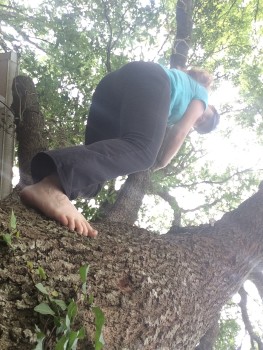 Relearning to climb